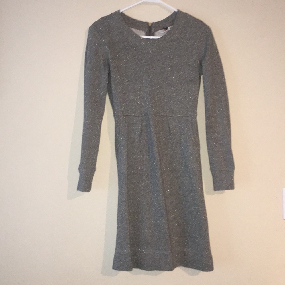 Land’s End Shimmer Grey Cotton with Pockets Dress
